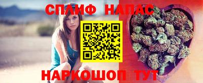стаф Волгодонск