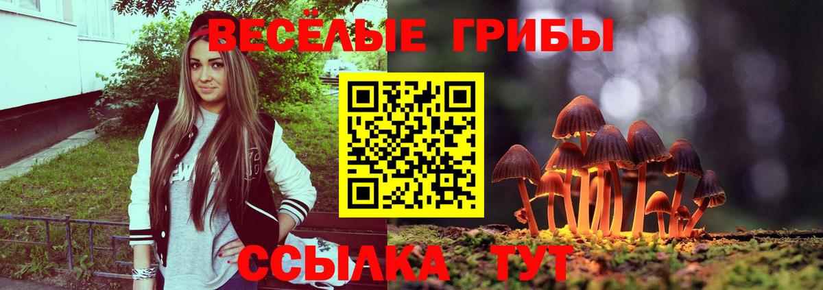 цены наркотик  Галлюциногенные грибы MAGIC MUSHROOMS  Вход с VPN  Щёкино  Галлюциногенные грибы Psilocybe 