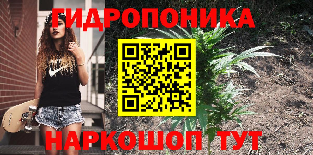 Бошки Шишки Bruce Banner Щёкино